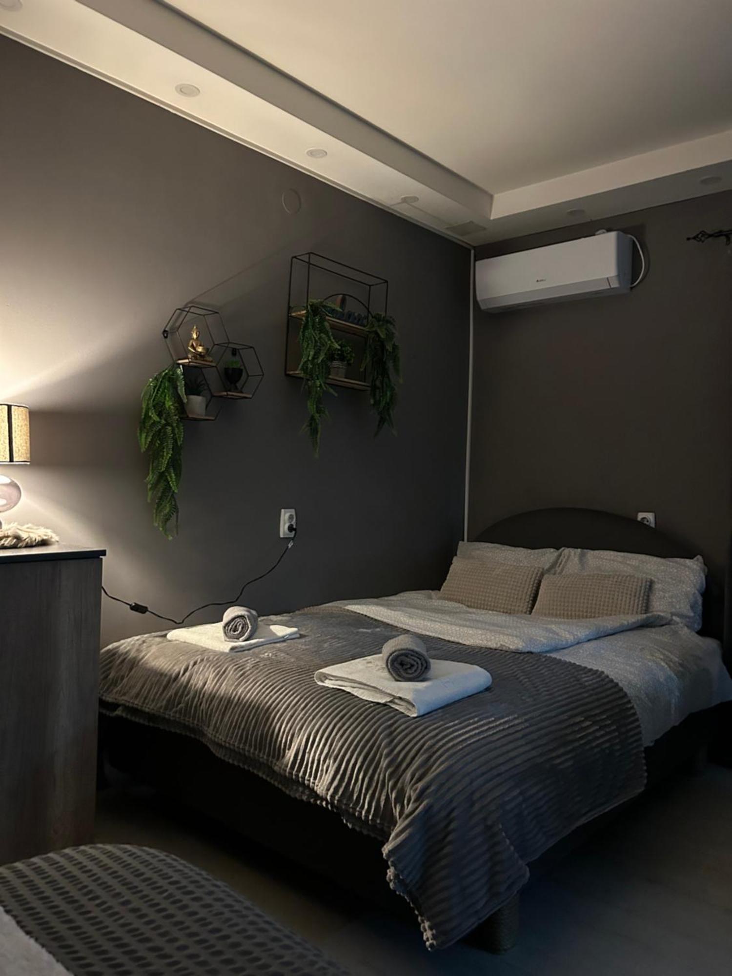 Beta House Apartments Zaječar Esterno foto